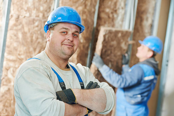 Best Cellulose Insulation in Cumberland, MD