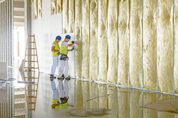 Best Residential Insulation in Cumberland, MD